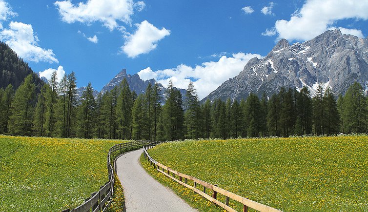 Radwege Pustertal Radweg Ahrntal Drauradweg PusterBike