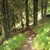 waldweg Goenner Alm