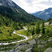 Flusslauf Reinbach