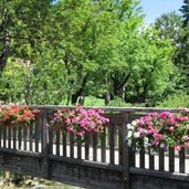 Fussgaengerbruecke Vintlueber Pfunderer Bach