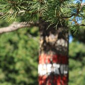 Peitlerkofel Villnoess Vonder Uetiade Boerzsindwirimmerder Markierungagefolgt