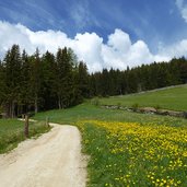 weg zum parkplatz altfasstal meransen