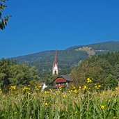 pfalzen ortschaft haselried bei muehlen und issing