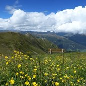 weg von sillian zu sillianer huette dahinter fuellhorn berg