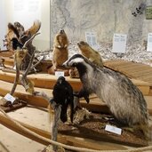 naturparkhaus drei zinnen toblach