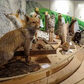 naturparkhaus drei zinnen toblach