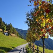 wiesen bei nockerhof platten