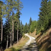 forststrasse zur goenneralm