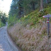 forststrasse zur goenneralm