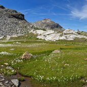 hochmoor feuchtgebiet am malersee fr