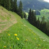 peststeig von kalkstein ins villgratental