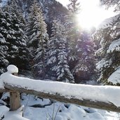 winterwald valser tal schnee