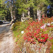 weg nr bei anratterhuette herbst