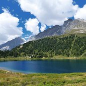 defreggen staller sattel obersee