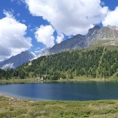 obersee staller sattel