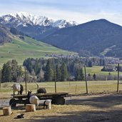 tierpark toblach