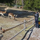 tierpark toblach