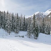 weg a weissenbach wurmtal bei innerhoferalm winter