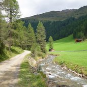 almwiesen bei brunneralm und geiregg