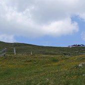 weg zum thurntaler see grenzkamm pferde