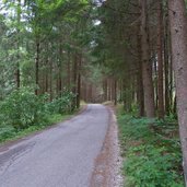 radweg olang percha pustertal