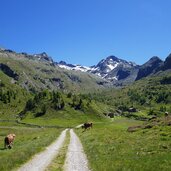 pojeralm wiesen biotop