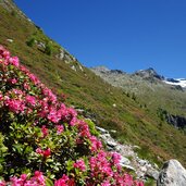 steig aufstieg zum schreinsee