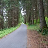 pustertal drau radweg bei strassen