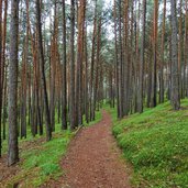 stegerbuehelrunde bei schabs