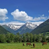 blick ins hintere ahrntal bei sand in taufers