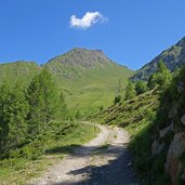 blick von wilde kreuzspitze bis ribigenspitz fr