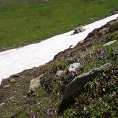 schneereste unter steinbergscharte