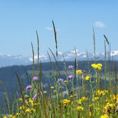 wiesen am roemerweg bei kammerlechen