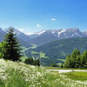 wiesen bei kammerlechen roemerweg aussicht dolomiten eingang pragsertal