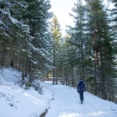 innerfeldtal weg durch den wald