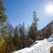 innerfeldtal weg mit blick auf dreischusterspitze