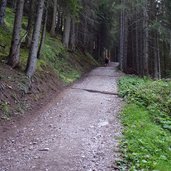 weg dolomiten hoehenweg zur putzalm