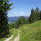 letzer wegabschnitt bei putzalm weg