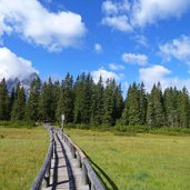 feuchtwiesen am weg nr oberhalb von kreuzbergpass