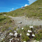 weg richtung karnischer kamm hoehenweg