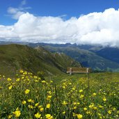 weg von sillian zu sillianer huette dahinter fuellhorn berg