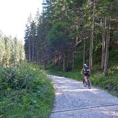 sentiero forestale valgrande di comelico collegamento passo monte croce smt bike