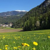 wiesen bei kiens prati a chienes