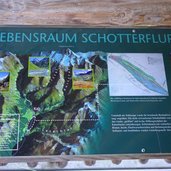 kalserbach schotterfluren infotafeln nationalpark