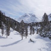 dolomiten hoehenweg sennes winter