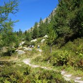 weg dorfertal richtung kalser tauern