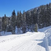 rodelbahn leckfeldalm weg