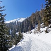 rodelbahn leckfeldalm weg