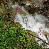 prettau ahrntal wanderung waldnersee