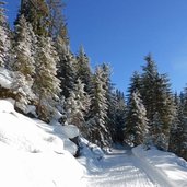 weg nr von moos zur nemeshuette winter